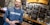 Video Course: A Scientific Look at Hop Aroma and Flavor Image